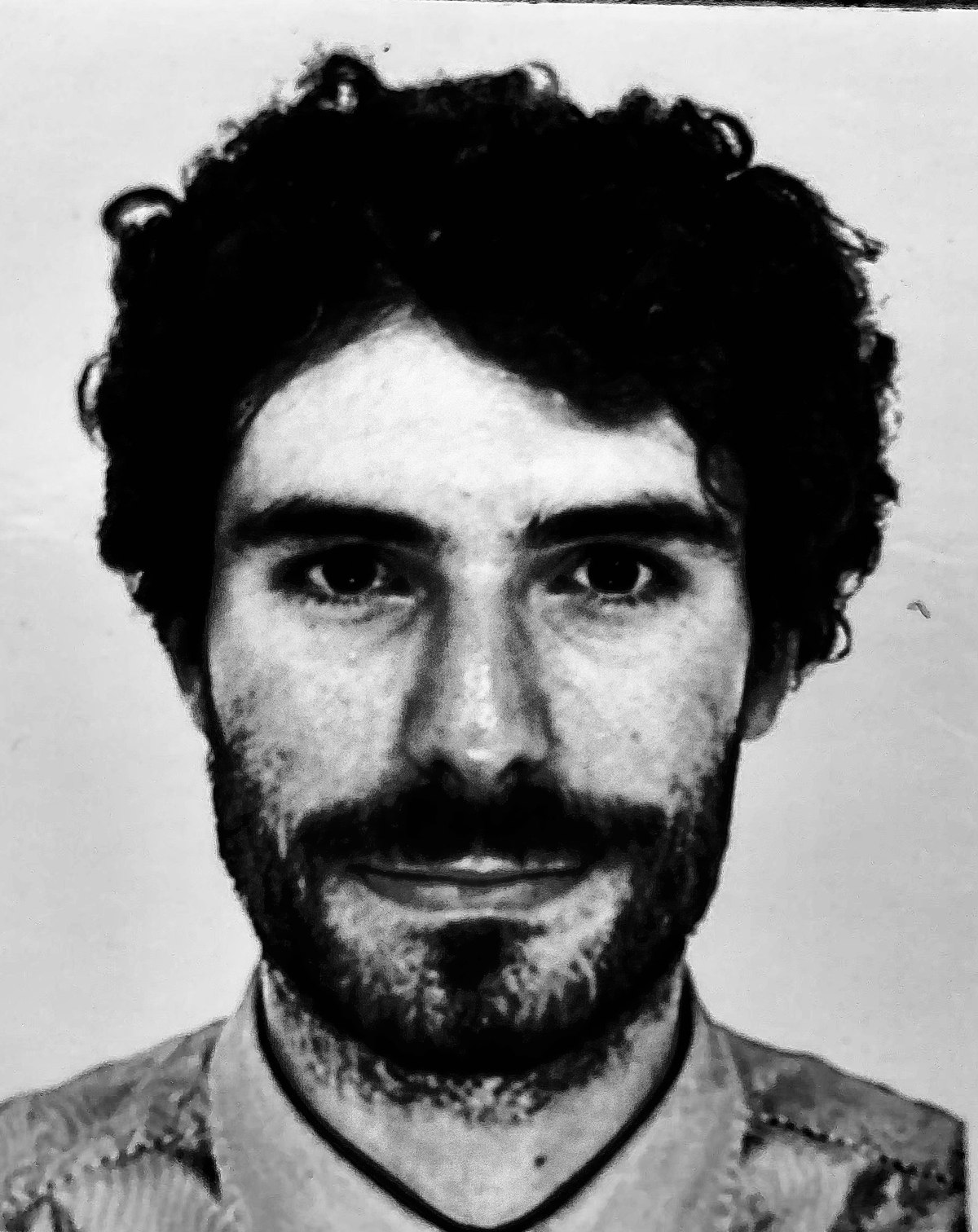 Alessandro Falchi, Mocked Monkey